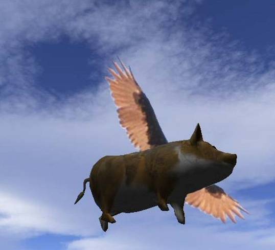 flying pig.jpg